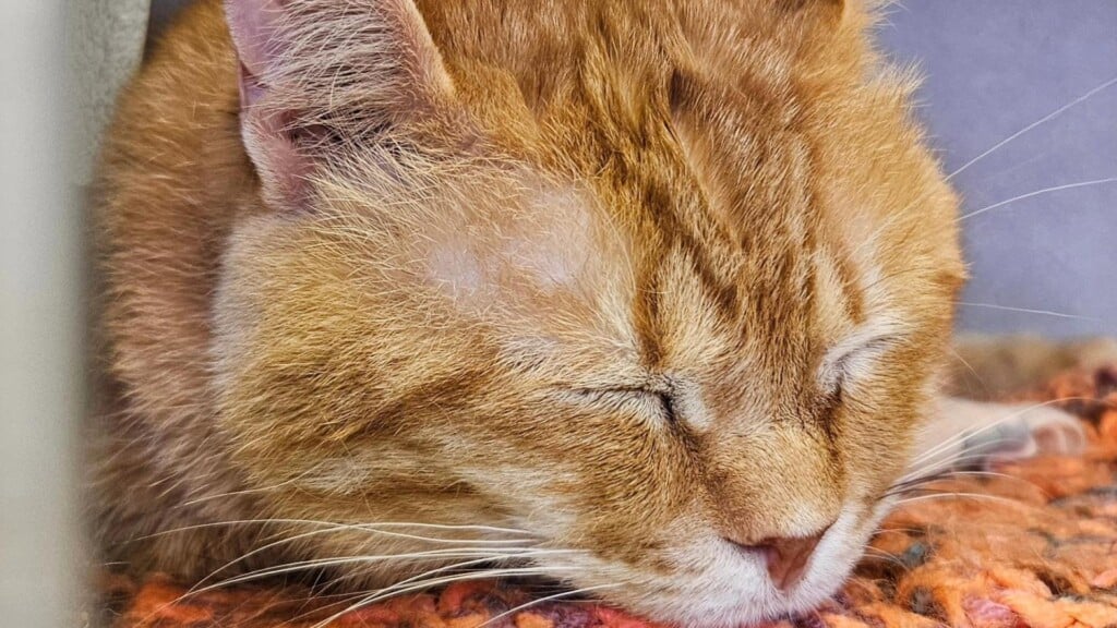 Photo Resize 2025 08 25t171645422