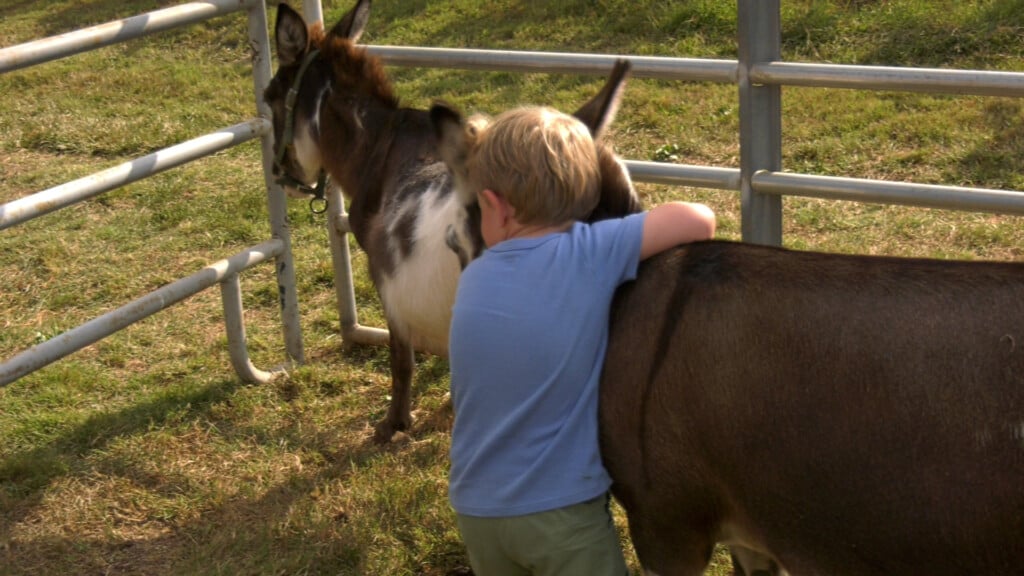 Simpson County Ag Extravaganza Pkg00 01 45 45still001