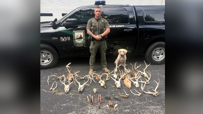 Poaching Charges