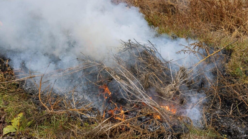 burn pile