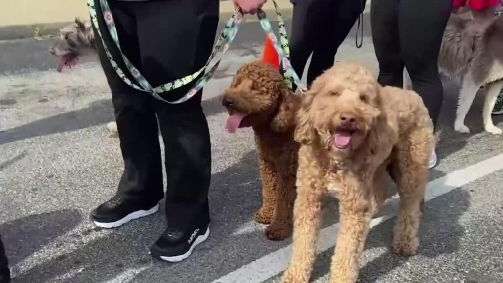 Photo Resize 2025 10 24t155252315