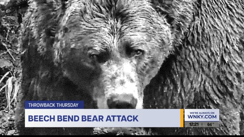 Throwback Thursday Beech Bend Bear Attack