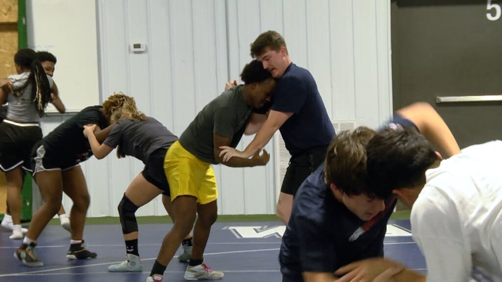 Wrestling Story Cover Pic
