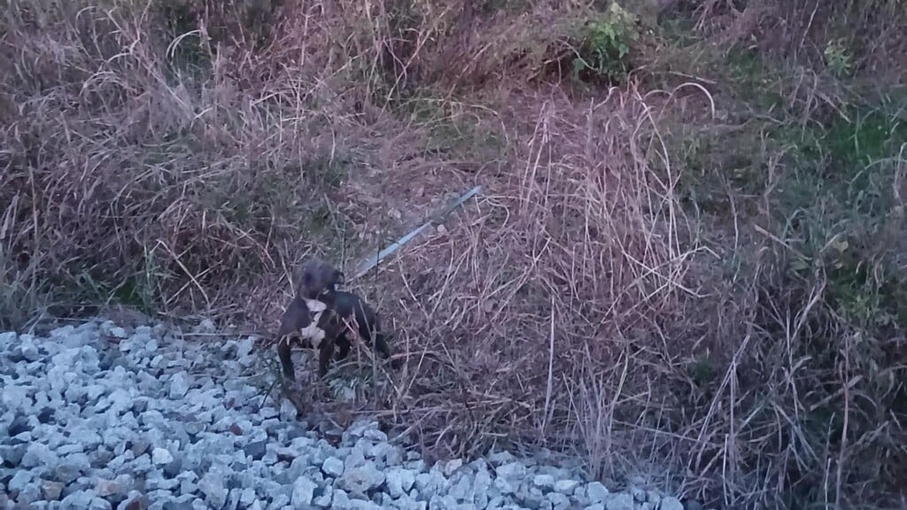 Photo Resize 2025 10 16t112109425