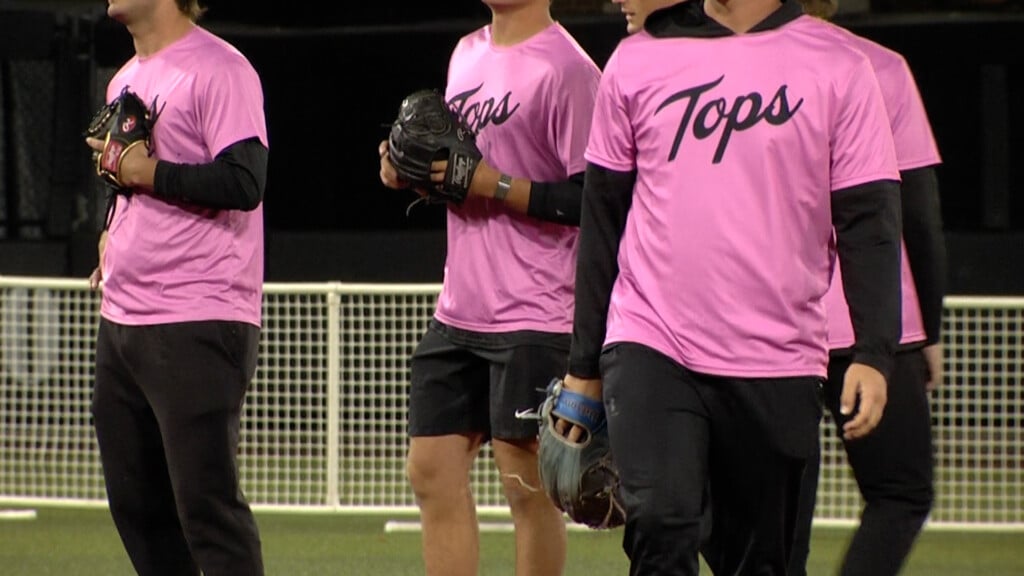 Bat Out Breast Cancer Cover Pic