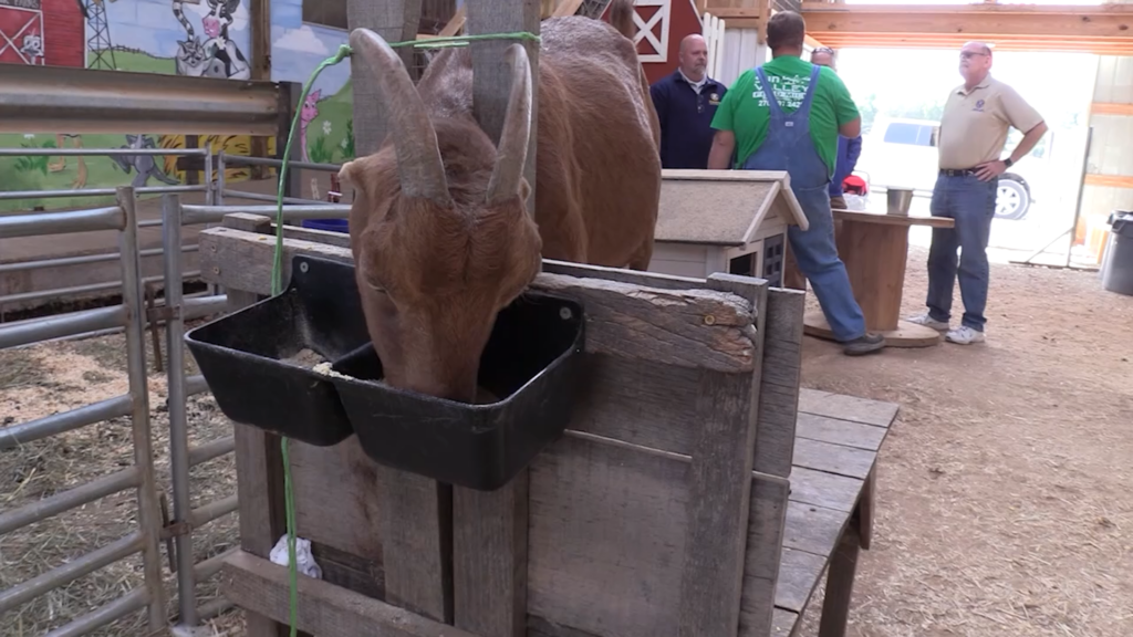 Preview Farm Day 2025 Tease Vo 10 24 202500 00 00 00still001