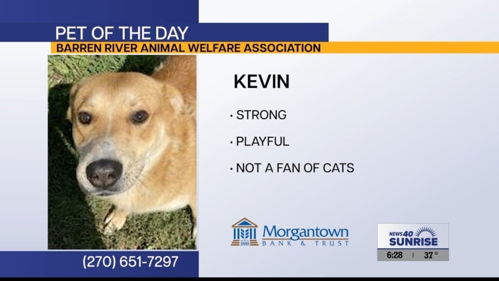 Pet Of The Day Kevin 11.4.25