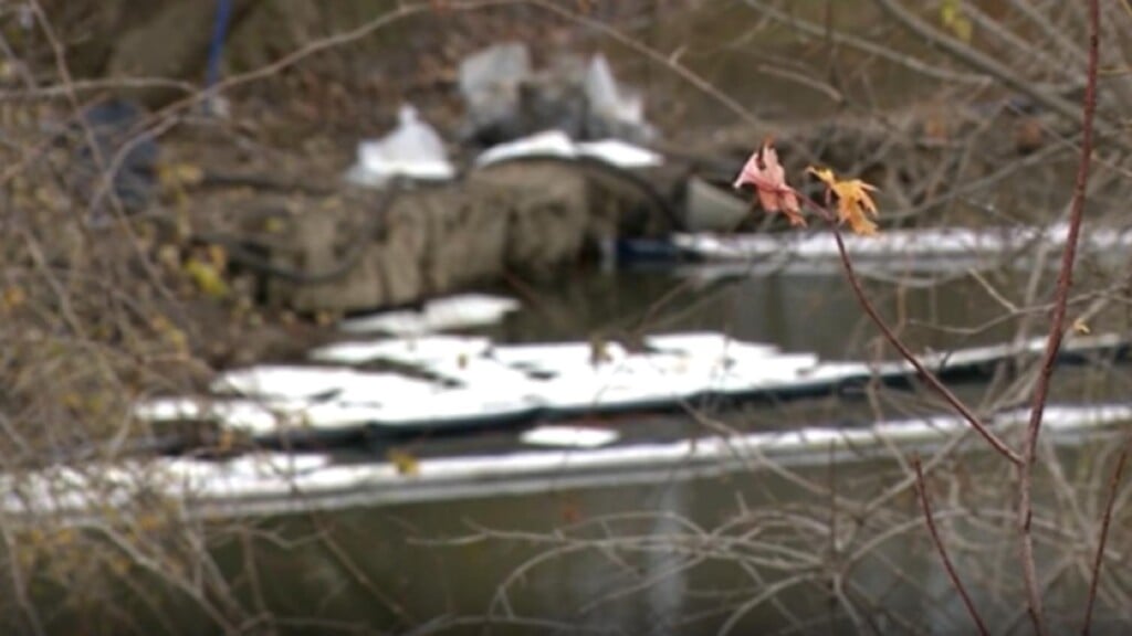 Photo Resize 2025 11 12t165403425