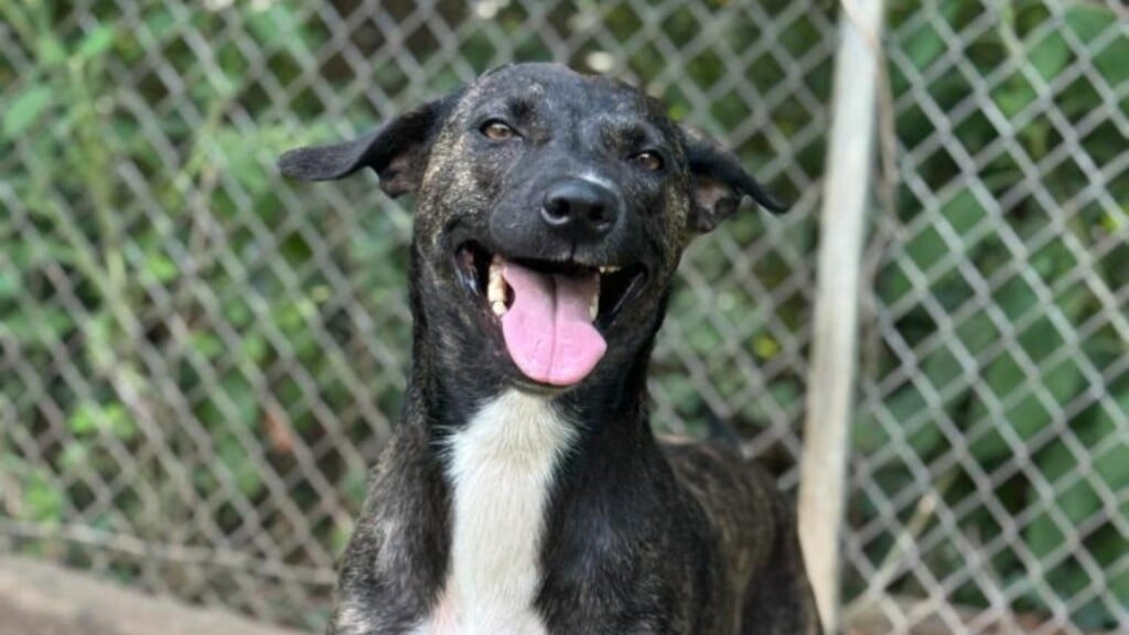 Photo Resize 2025 11 26t160805095