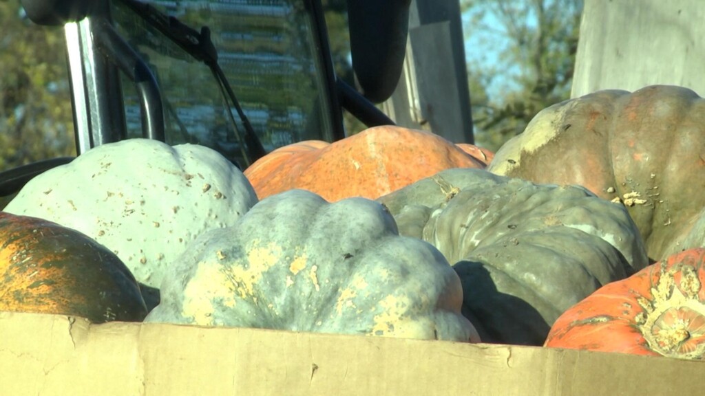 Photo Resize 2025 11 03t181633819