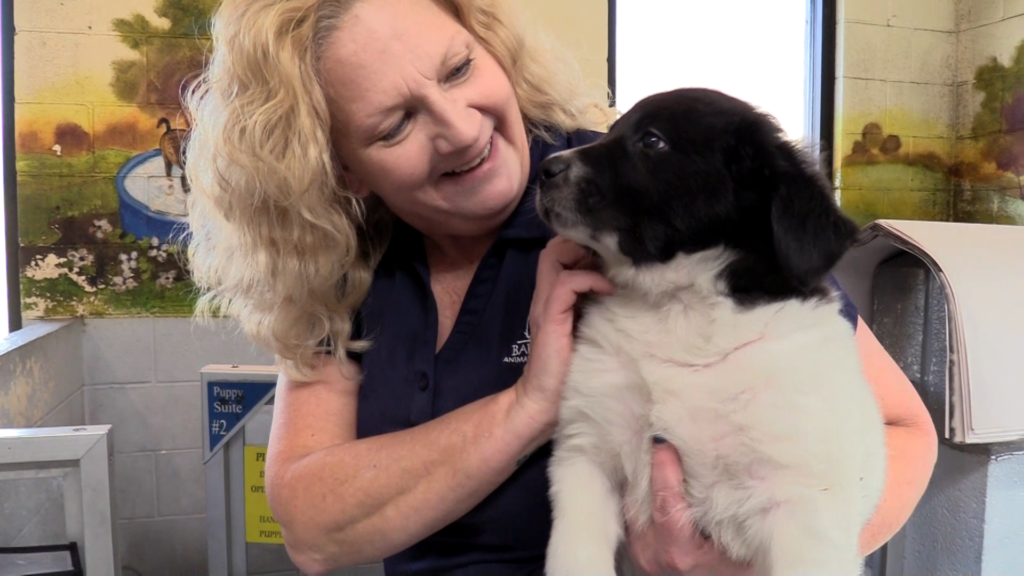 Connie Greer Retirement