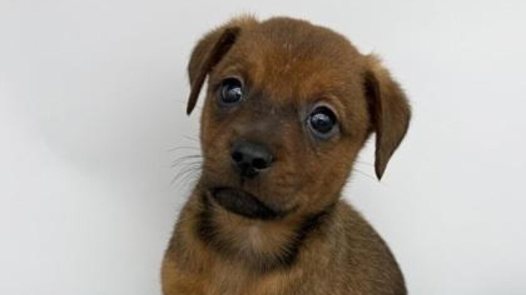 Photo Resize 2025 11 26t111201450