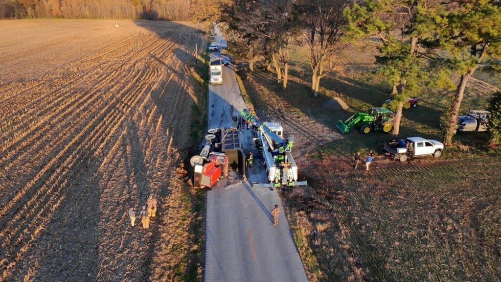 Photo Resize 2025 11 14t115747714