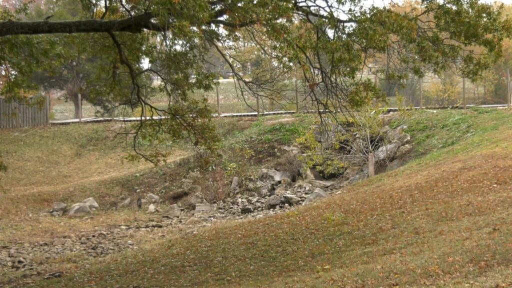 Stormwater Project Basil Griffin Vo00 00 20 00still001