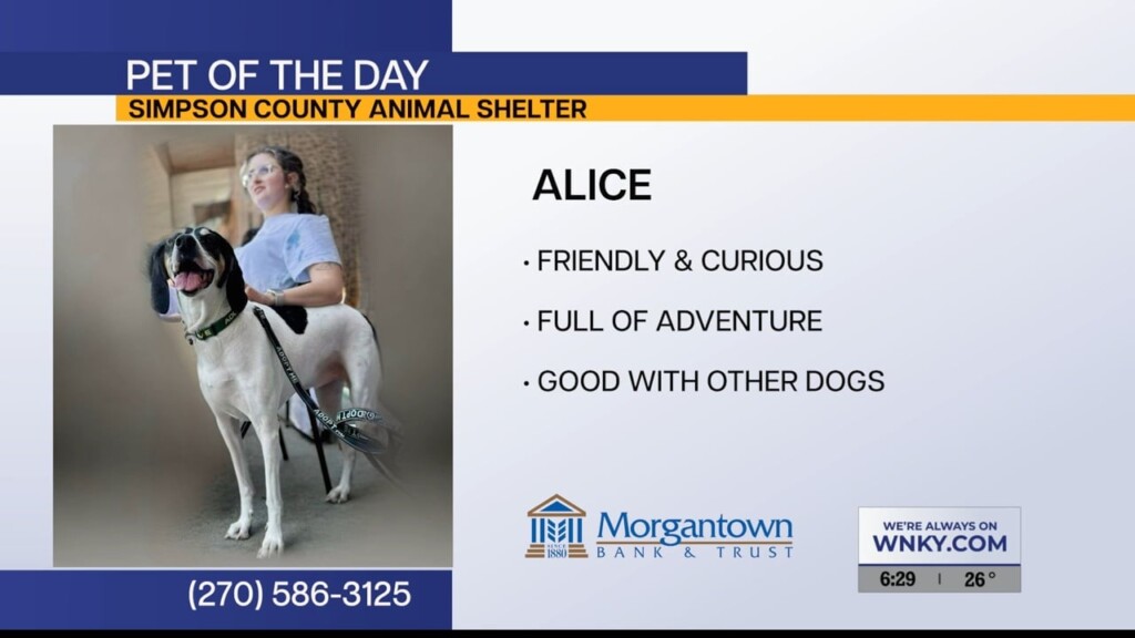 Potd Sunrise 11.11.25