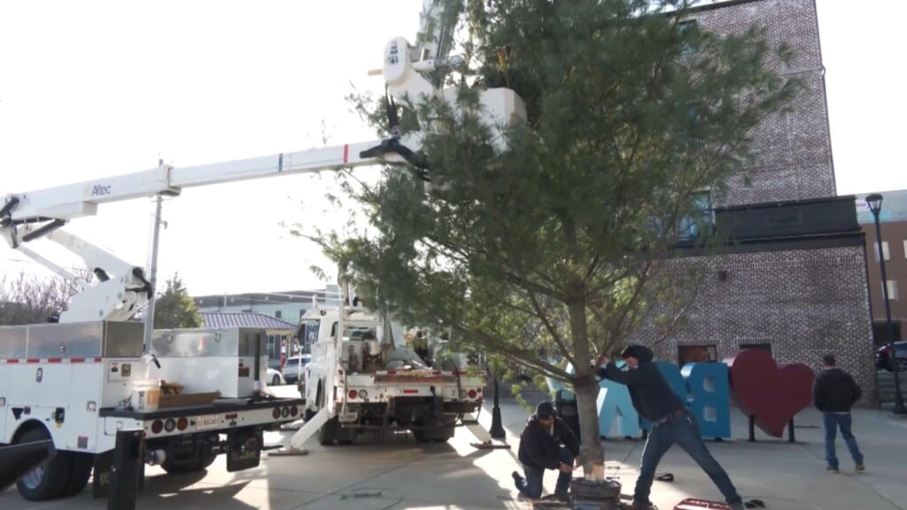 Photo Resize 2025 12 01t174524471