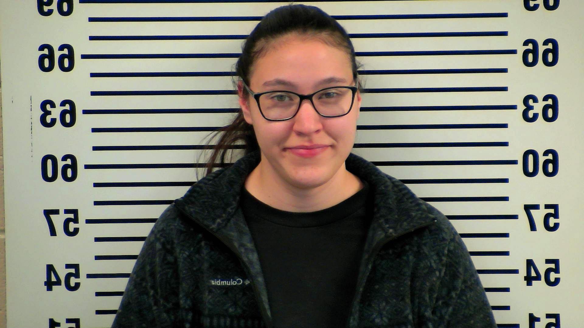 Scottsville woman arrested on drug charges after traffic stop - WNKY ...