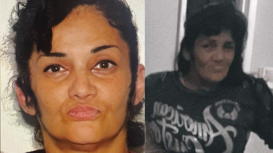 Missing Todd County Woman