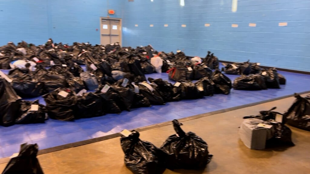 Angel Tree Cover Img