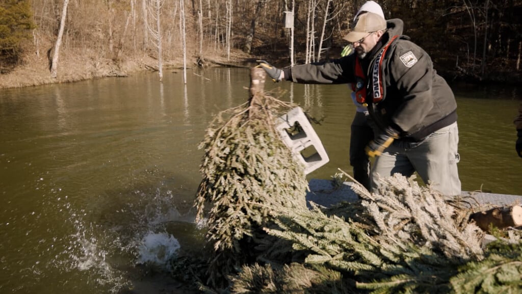 Sequence 0100 00 27 00still002