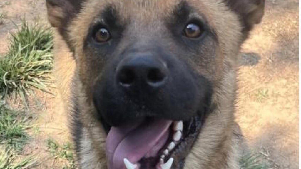 Photo Resize 2025 12 30t105021359