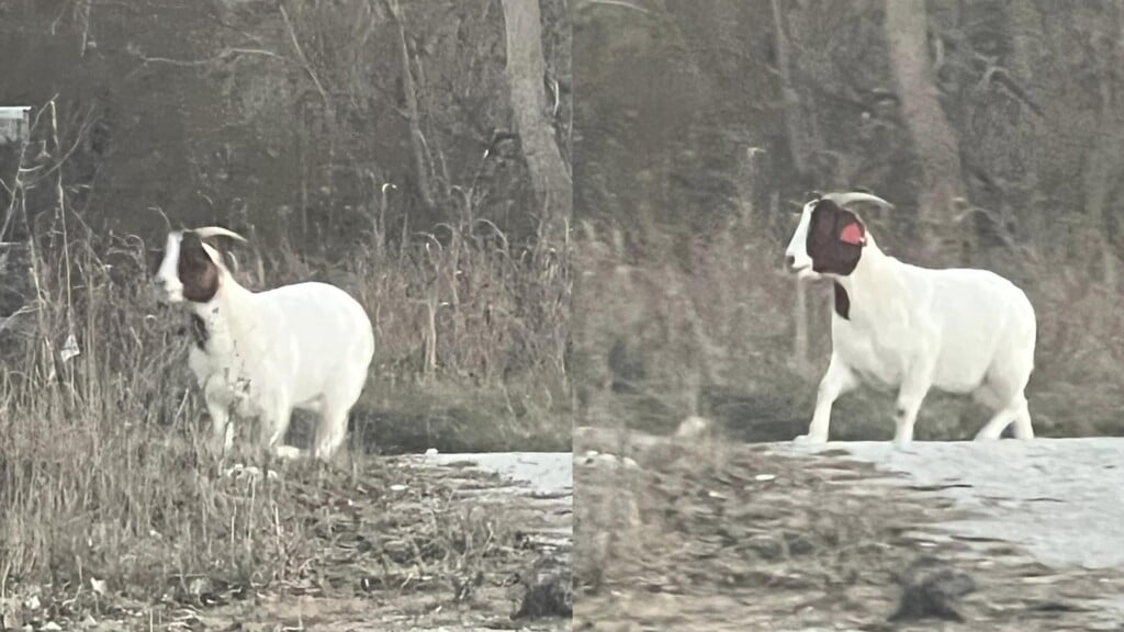 Photo Resize 2025 12 16t171403809