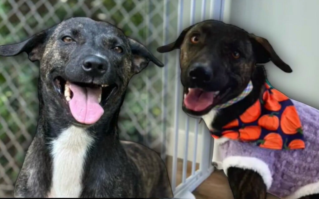 Six B13a952e 2cdc 4ddc Bbde 951b983c3392