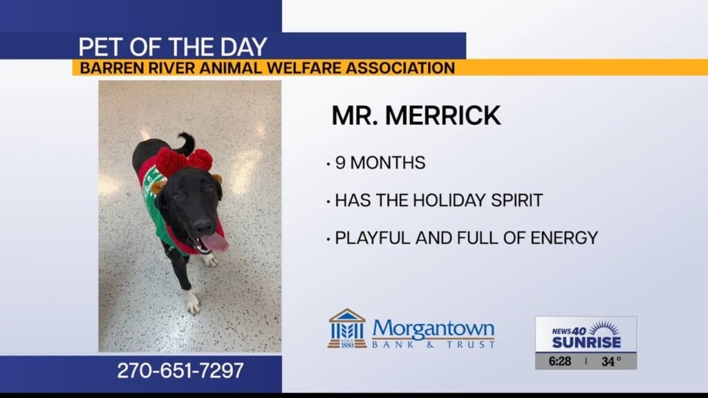 Potd Mr. Merrick 12.02.25