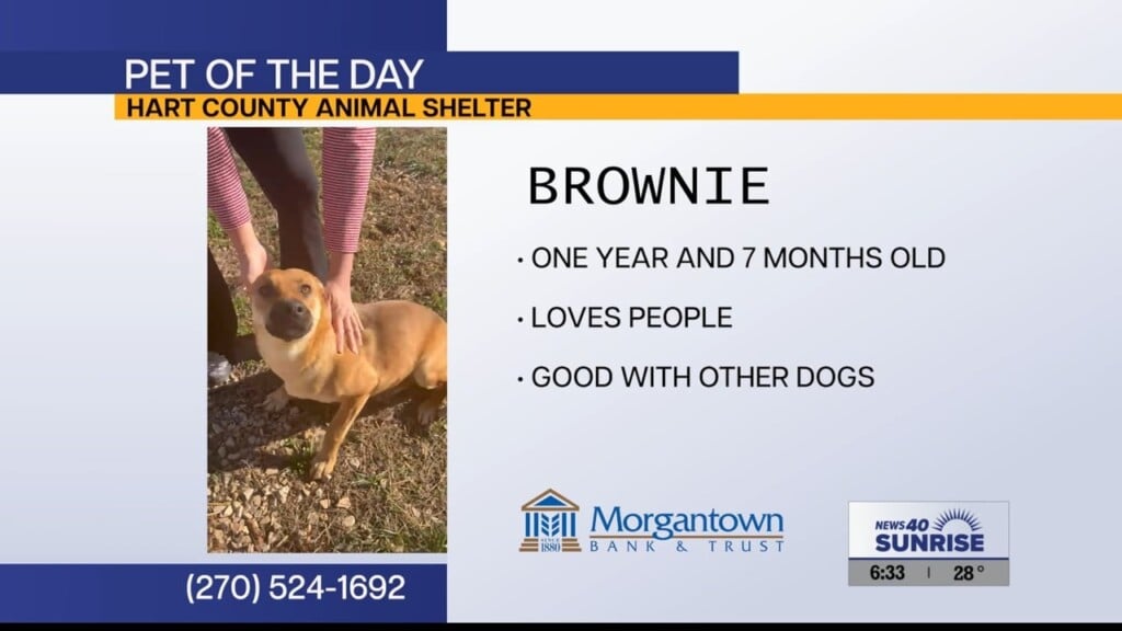 Potd Brownie 12.31.25