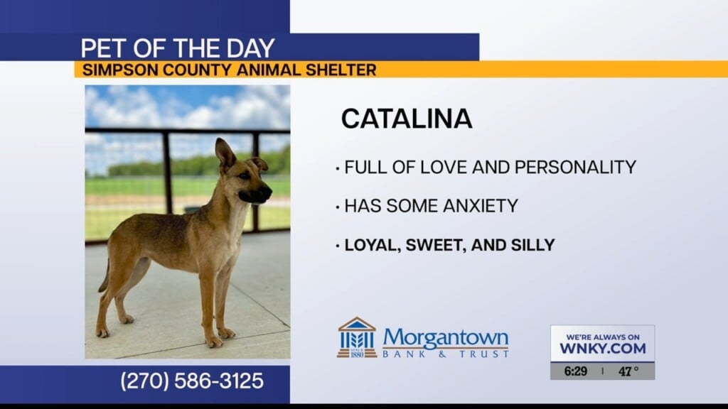 Potd Catalina 12.10.25