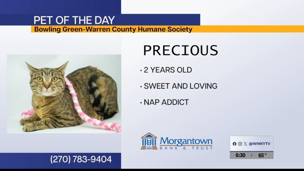 Potd Precious 12.26.25