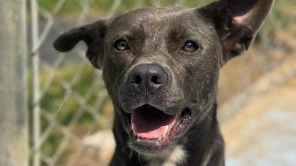 Photo Resize 2025 12 15t140131461