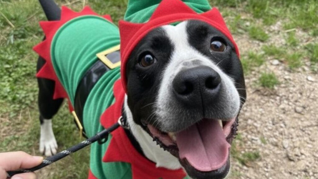 Photo Resize 2025 12 25t103258921