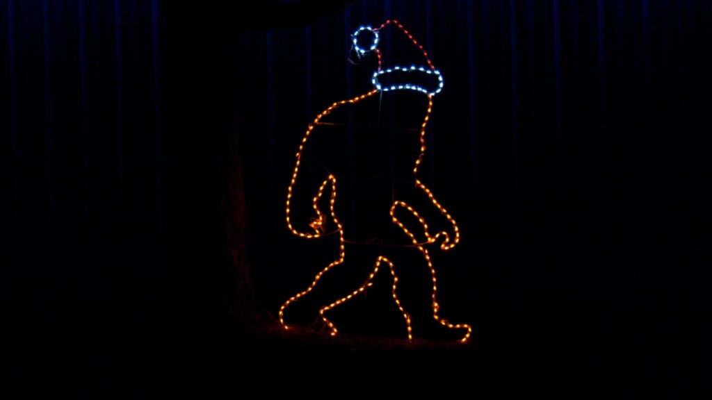 Nights Of Lights Pkg00 00 16 12still001