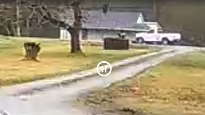 Ohio County Hit And Run