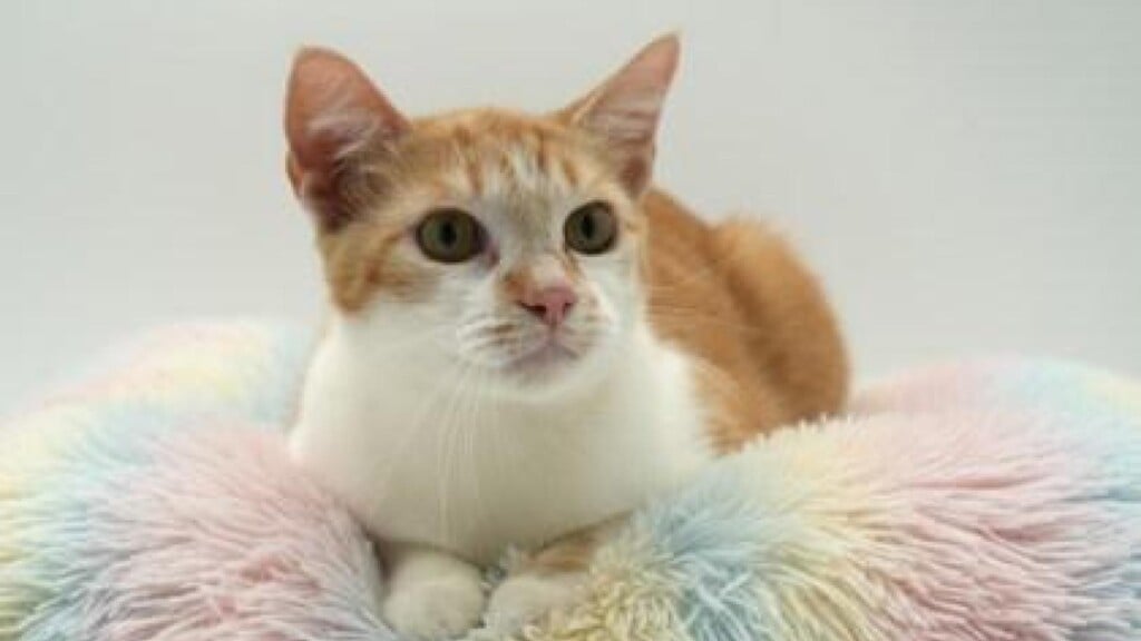 Photo Resize 2025 12 11t085115340