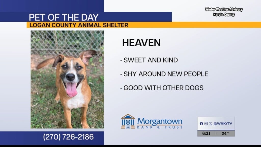 Potd Sunrise 12.01.25