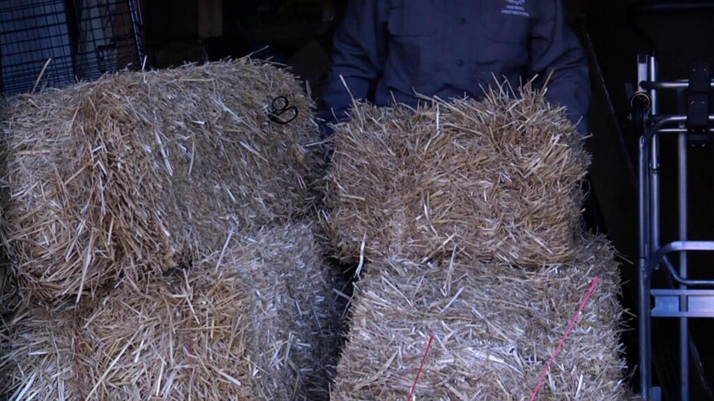 Photo Resize 2026 01 22t173914023