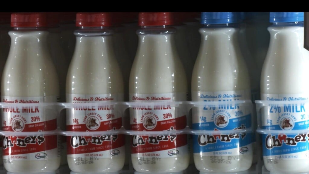 Photo Resize 2026 01 23t162312946