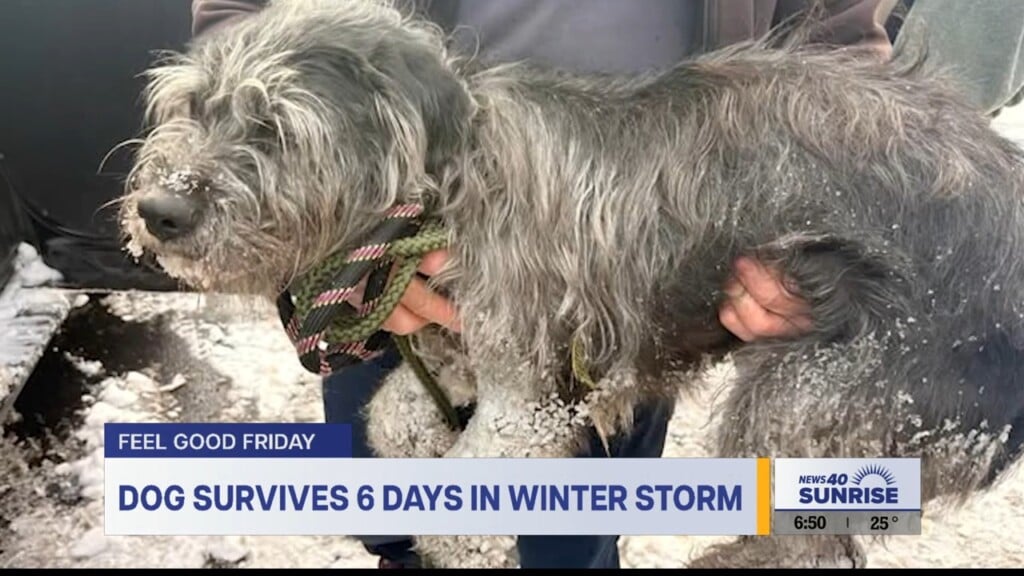 Feel Good Friday 1.30.26