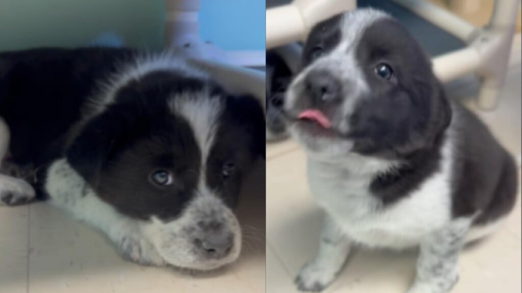 Photo Resize 2026 01 23t151420800