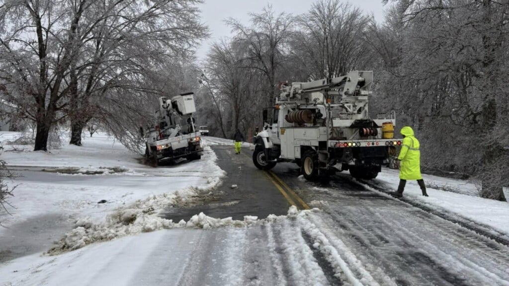 Photo Resize 2026 01 26t113142866