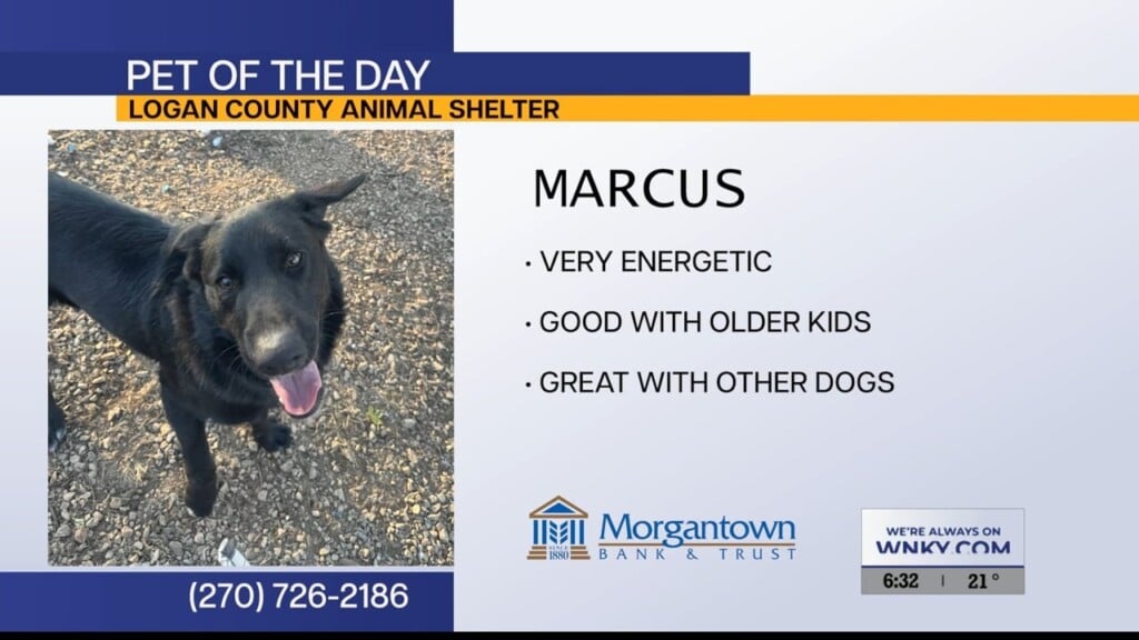 Potd Marcus 01.12.26