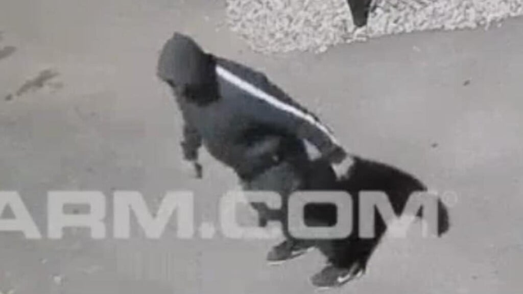 Photo Resize 2026 01 22t184059215