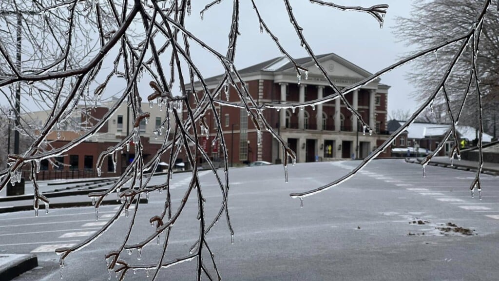 Photo Resize 2026 01 27t113002134