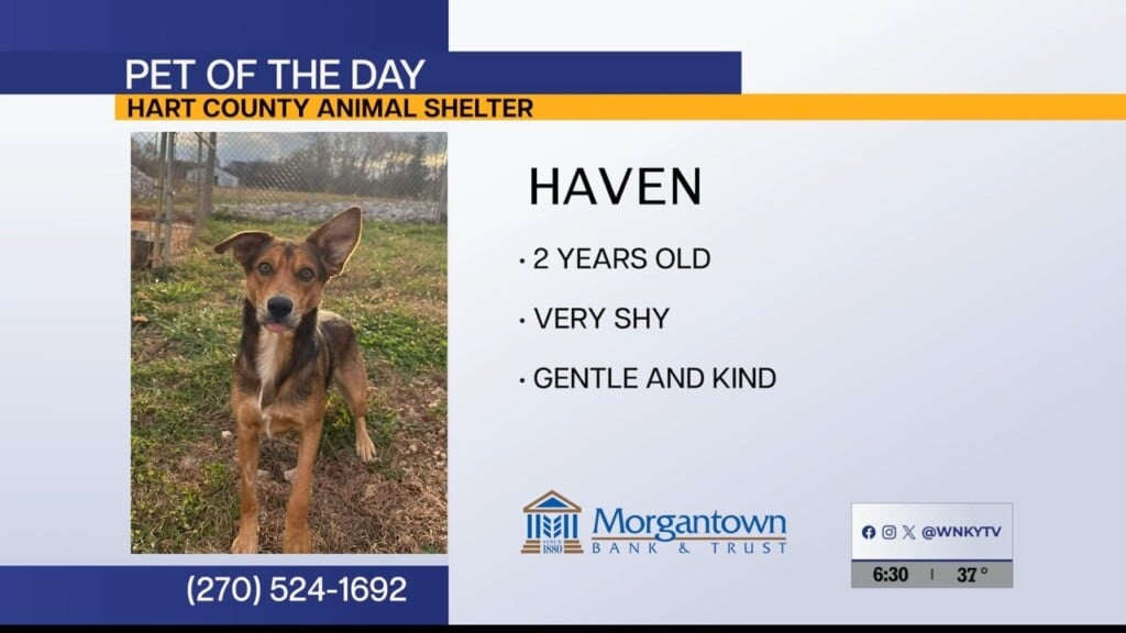 Pet Of The Day 1 13 2026