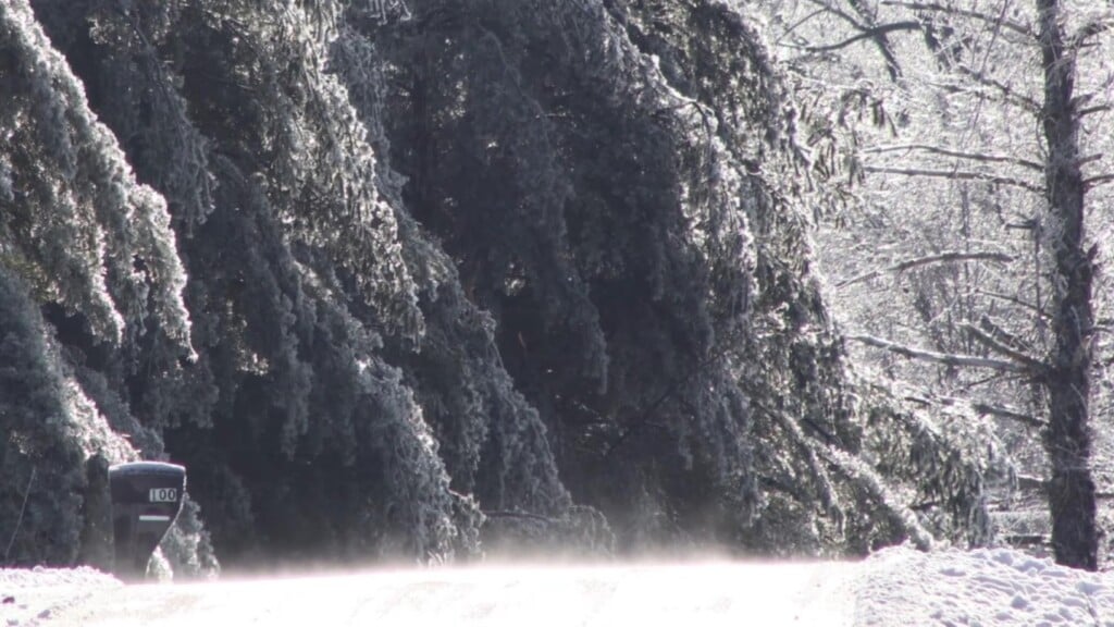 Photo Resize 2026 01 27t164359310