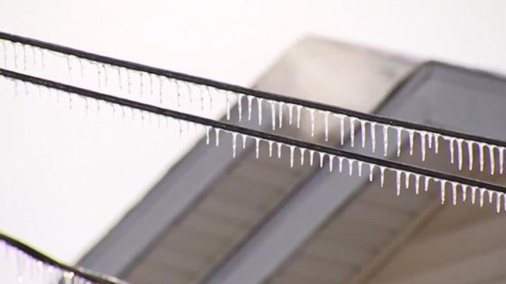 Photo Resize 2026 01 21t171952914