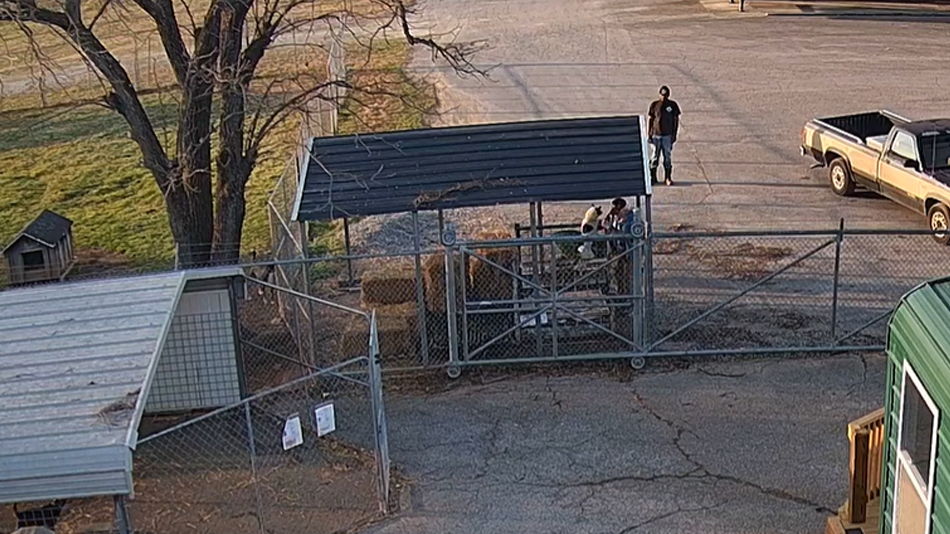 Dumped Dog In Logan County