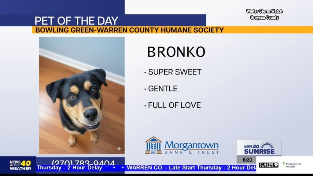 Potd Bronko 01.22.26